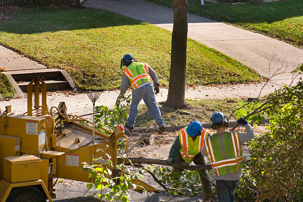 Lawn Watering Services in South Farmingdale, NY